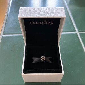 Pandora bracelet charm
